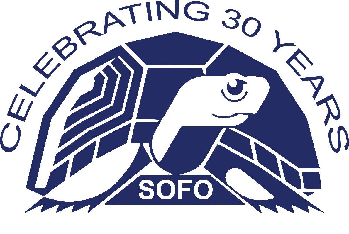 Celebrating 30 Years Option 1